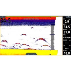 Transductor CHIRP Airmar TM165HW Lowrance Simrad