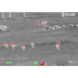 Cámara Termográfica FLIR LS-X