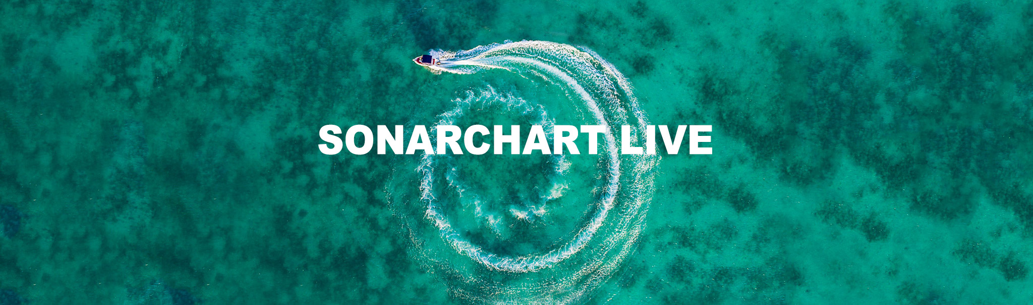 imagen SonarChart live